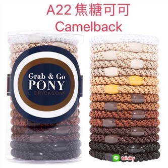 【質本嚴】美國正品L.Erickson 粗款髮圈 名牌髮圈 原裝15入/桶裝 A22焦糖可可 Camelback