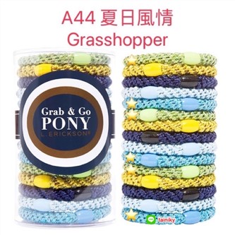 【質本嚴】美國正品L.Erickson 粗款髮圈 名牌髮圈 桶裝分裝5入/A44 夏日風情Grasshopper