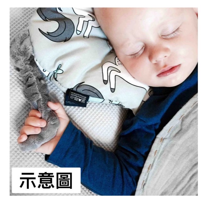 【質本嚴】波蘭品牌 LA MILLOU正品Pillow Sleepy Pig Minky PRINCESS CHESSBOARD -WIND BLUE寶寶睡眠安撫枕-水藍