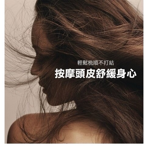 【質本嚴】AVEDA 木質氣囊按摩梳 大款