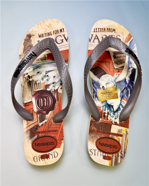 【HAVAIANAS】Harry potter/嘿美