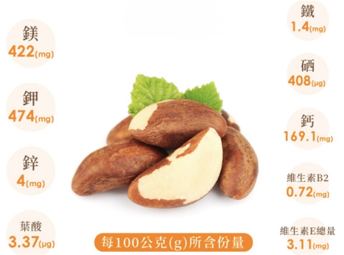 【質本嚴】巴西 Floresta em Pé 巴西堅果 蘋果&綜合果乾